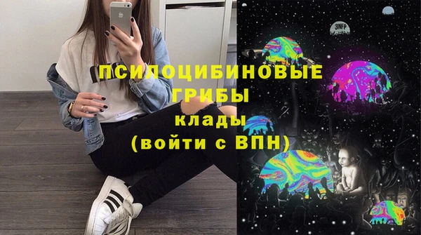 дживик Алексеевка