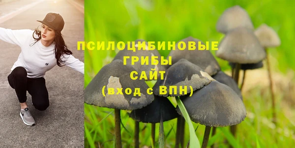 соль курить ск Алексин